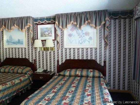 The Little Lion Motel Great Barrington Room photo