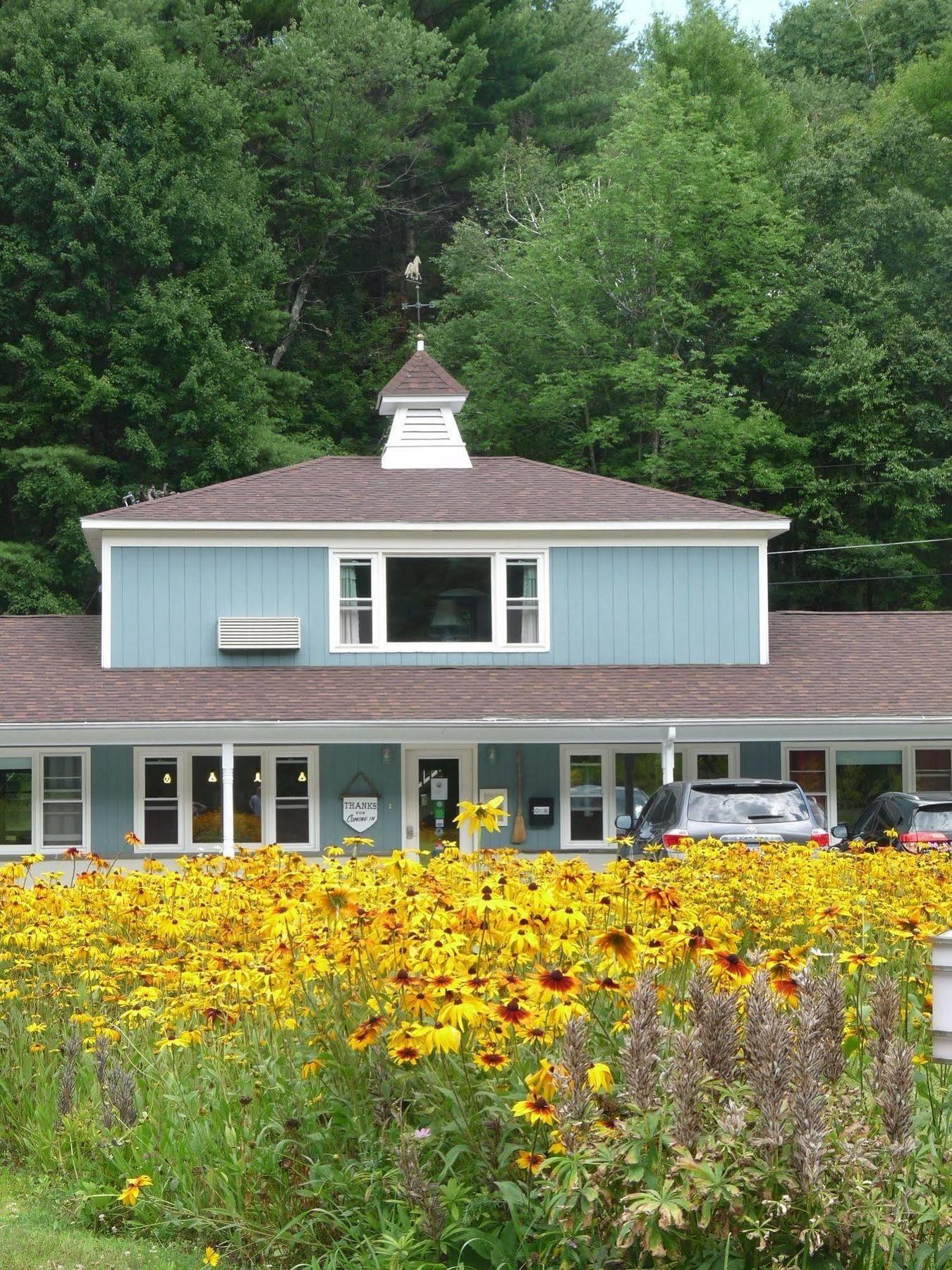 The Little Lion Motel Great Barrington Exterior photo